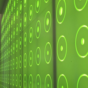 A close-up photograph of the wall decor: white circles in a uniform pattern across a luminous green background.