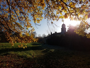 A photograph of Wandlebury Country Park in the autumn sunshine.