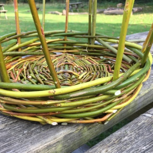 A close up photograph of the basket sides. Emma has weaved about 5cm.