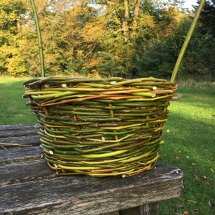 A photograph of the basket now the spokes have been weaved in.